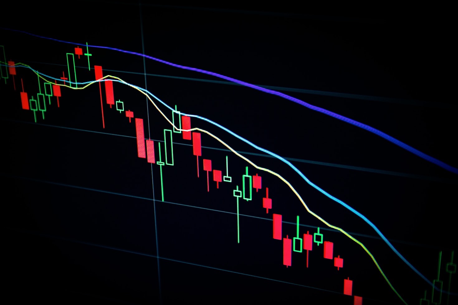 Top 5 Tips for Beginner Traders